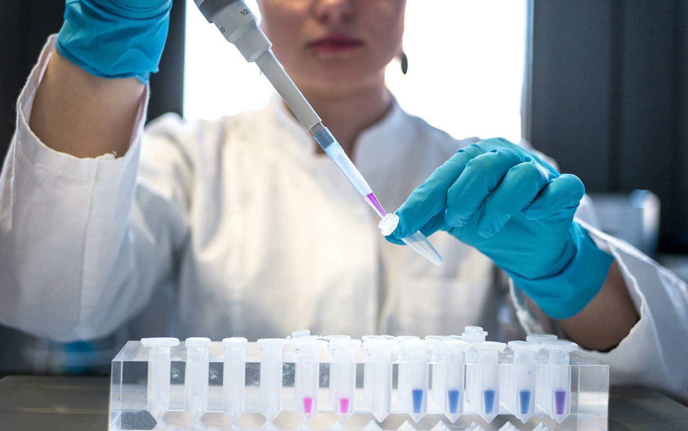 Travail de recherche au laboratoire. Photographie d’illustration.
